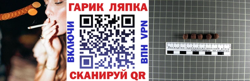 ГАШ Premium  гидра маркетплейс  Княгинино 