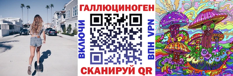 МЕГА ссылка  Княгинино  Псилоцибиновые грибы GOLDEN TEACHER 
